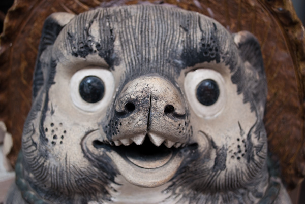 Tanuki face 2