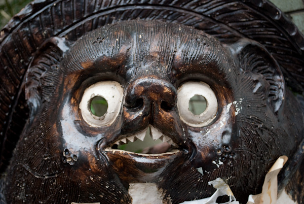 Tanuki face 3