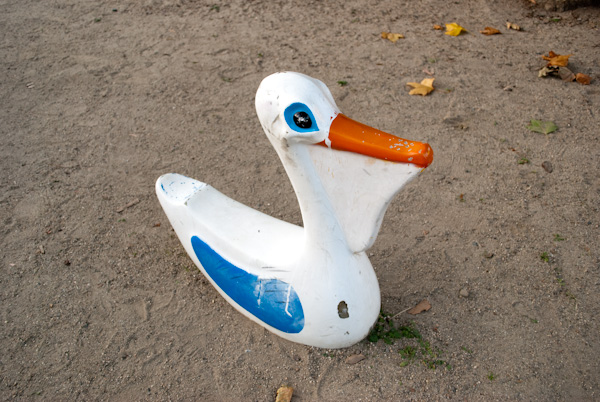 park7-2 Pelican