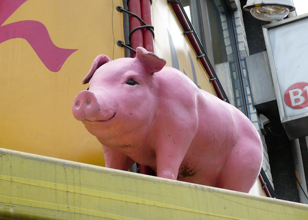 Happy Pig Tokyo Pig happy eating
