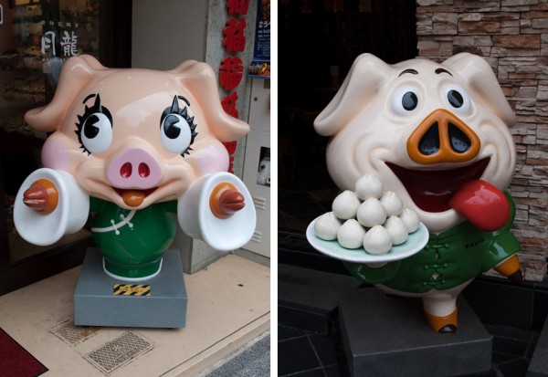 Big head pigs Rubbish bin pig and cute pig