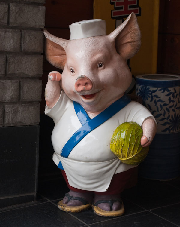 Maneki Neko Pig chef Pig with cabbage
