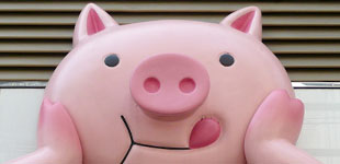 Plastic Pigs