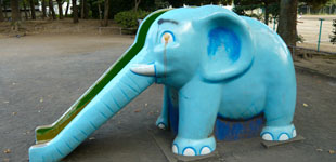 Elephant slides