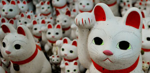 Maneki Neko - Gotokuji